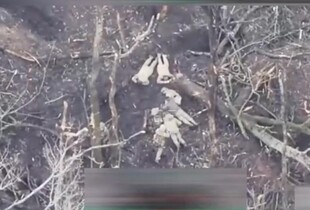 Росіяни розстріляли чотирьох українських військовополонених на Харківщині