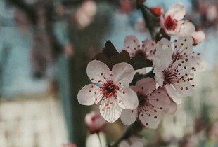 Дощі та штормовий вітер: в Україні 23 квітня погіршиться погода